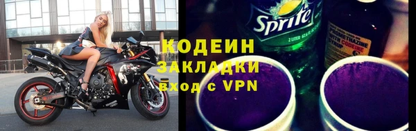 шишки Михайловск