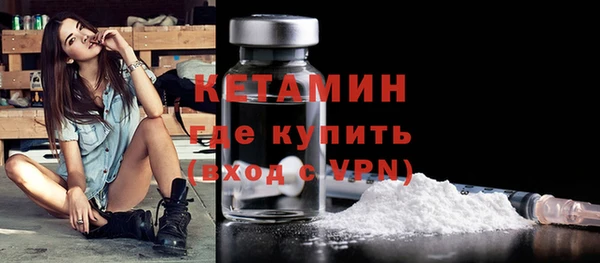 шишки Михайловск