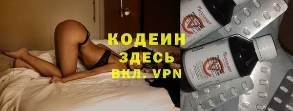 шишки Михайловск