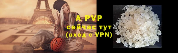 шишки Михайловск