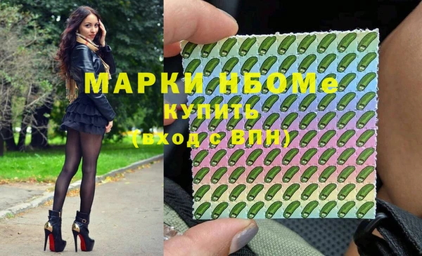 шишки Михайловск