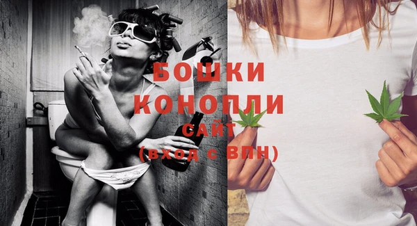 шишки Михайловск