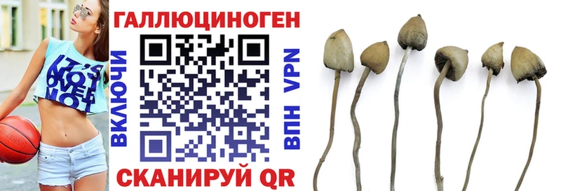 Галлюциногенные грибы MAGIC MUSHROOMS  Купить закладки  Новоалександровск 