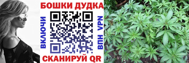 Купить  Новоалександровск  Конопля план 